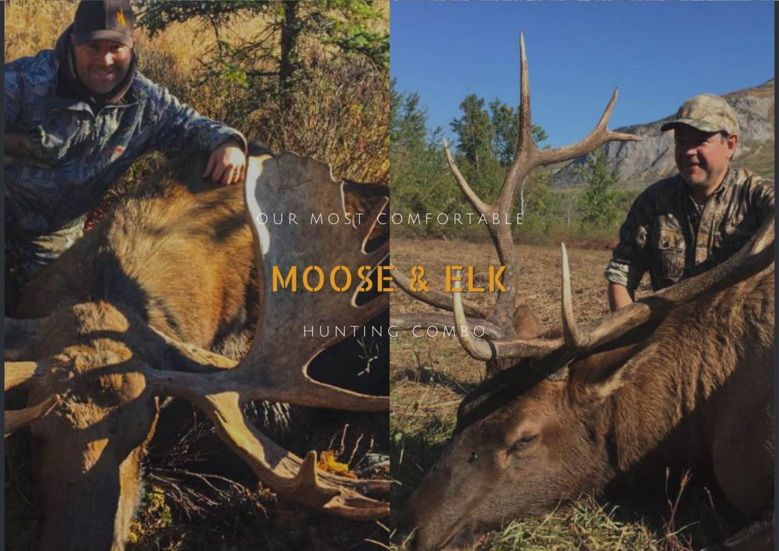 Forfaits de chasse au gros gibier au caribou des montagnes — Terminus Mountain Outfitters – Terminus Mountain Outfitters